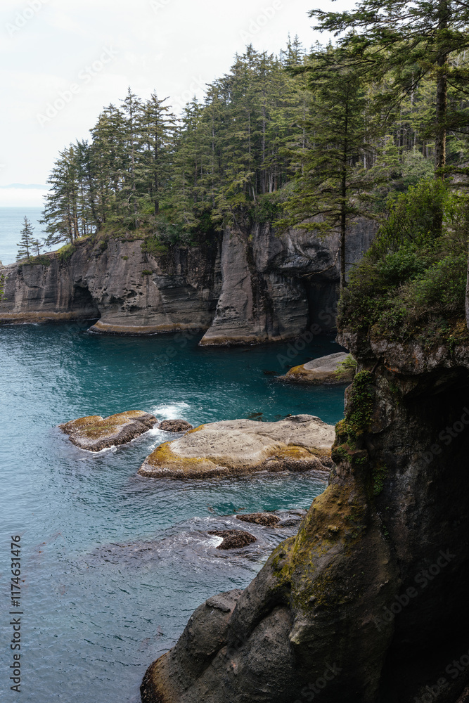 Cape Flattery landscape in the Olympic Peninsula in summer in the furthest northwest corner of Washington Cape Flattery landscape in the Olympic Peninsula in summer in the furthest northwest corner of Washington