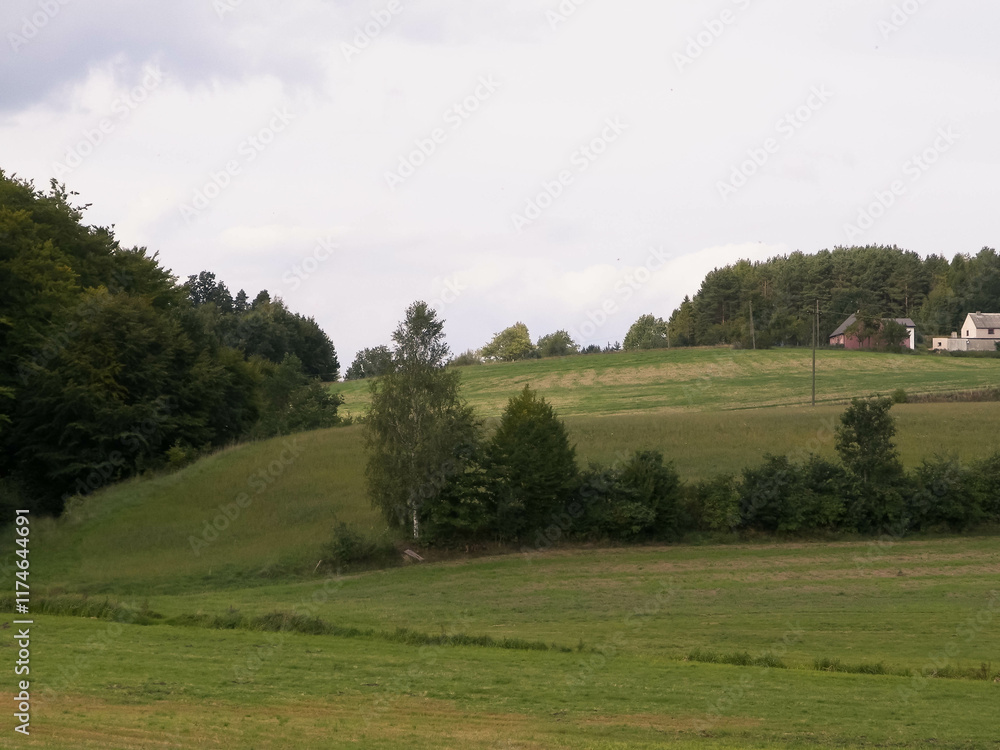 Green hills and forest - landscape of Kashubian Region, Poland. Green hills and forest - landscape of Kashubian Region, Poland.