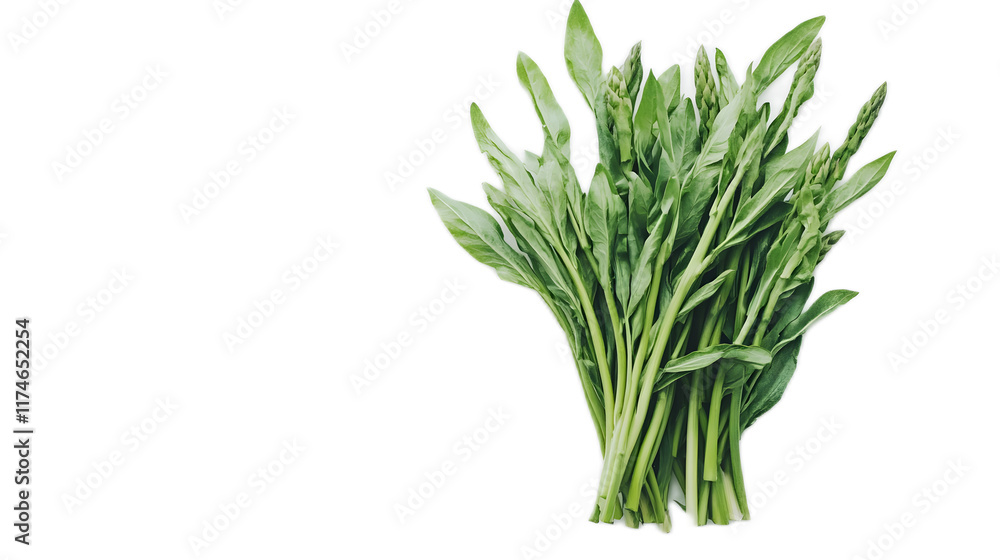 Fototapeta premium Fresh Green Leafy Vegetables Bundled Together on White Background