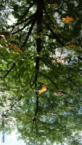 A rainy puddle reflecting a magical upside down world in a stunning display of nature s art photo