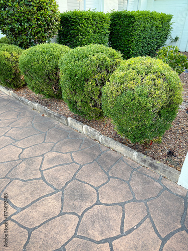 Manicured Shrubs and stencilled driveway