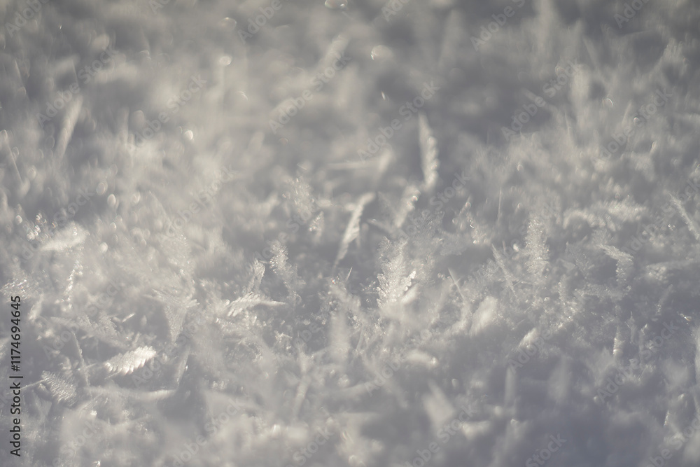 Obraz premium frozen snow close up