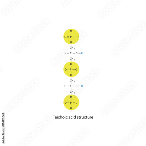 Diagram of Teichoic acid  segment made of phosphate, glycerol, and a side chain - schematic molecular structure illustration. skeletal structure diagram. compound molecule scientific illustration.