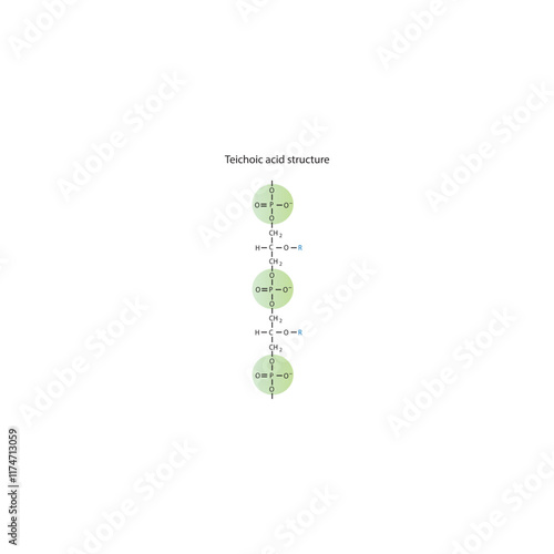 Diagram of Teichoic acid  segment made of phosphate, glycerol, and a side chain - schematic molecular structure illustration. skeletal structure diagram. compound molecule scientific illustration.