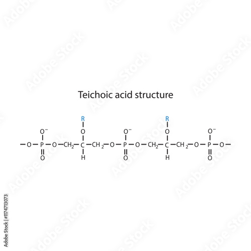 Diagram of Teichoic acid  segment made of phosphate, glycerol, and a side chain - schematic molecular structure illustration. skeletal structure diagram. compound molecule scientific illustration.