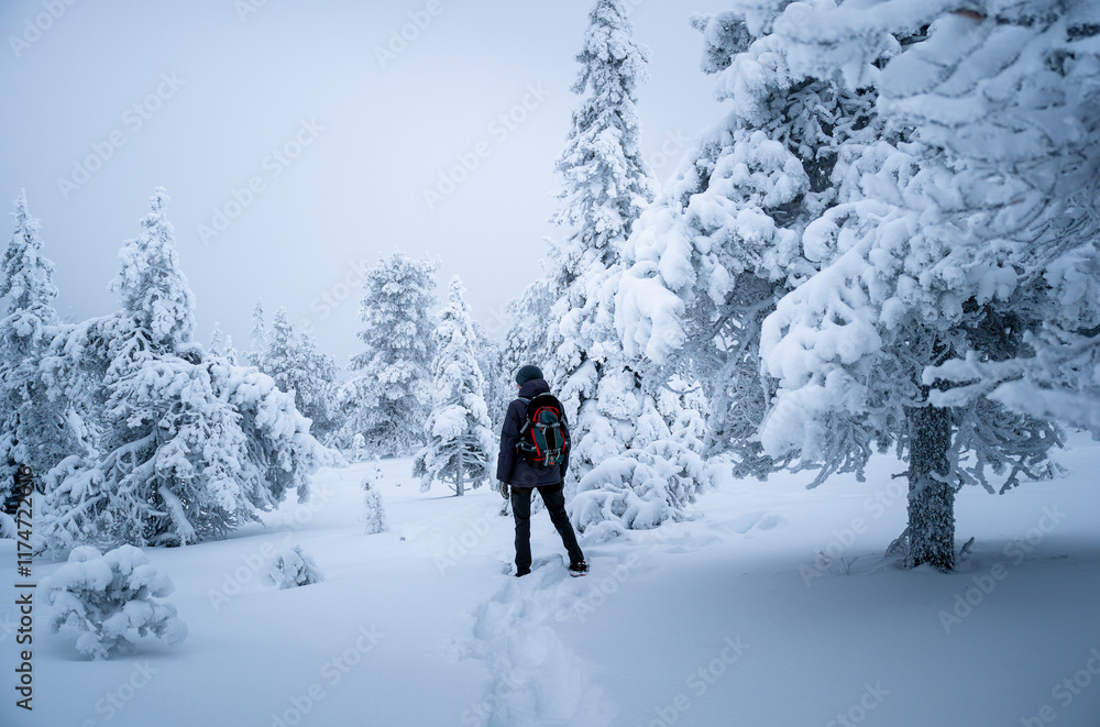Man wearing winter gear hiking through a snow-covered forest Man wearing winter gear hiking through a snow-covered forest
