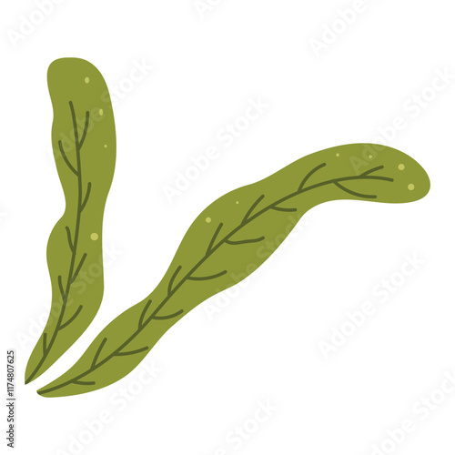 Stylized algae leaf graphic. perfect for botany, nature, or environmental design projects needing a unique leaf illustration