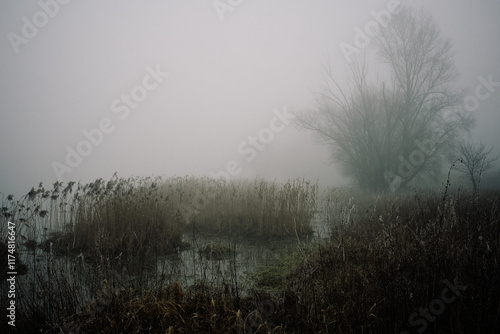 Wallpaper Mural The fog at the river Torontodigital.ca