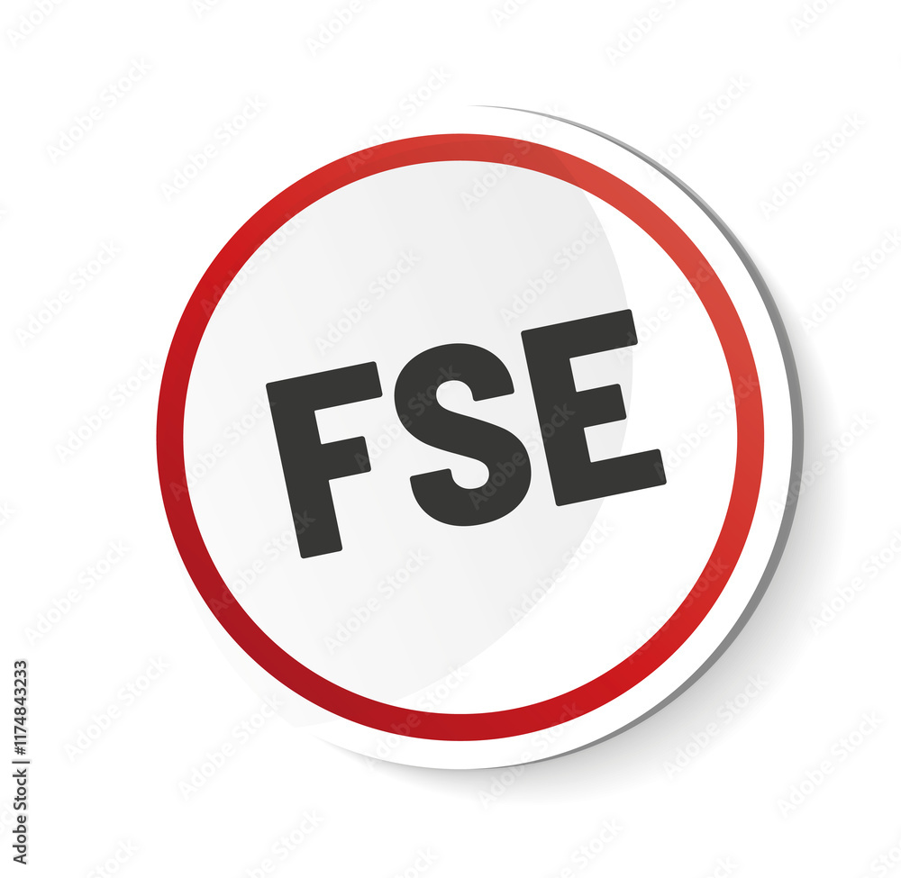Acronyme FSE - Formation Sous Encadrement Acronyme FSE - Formation Sous Encadrement