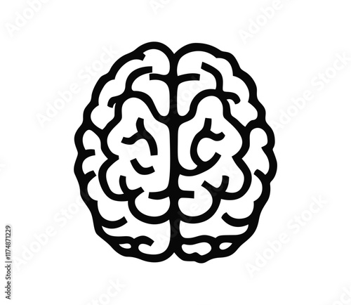 Human Brain Vector