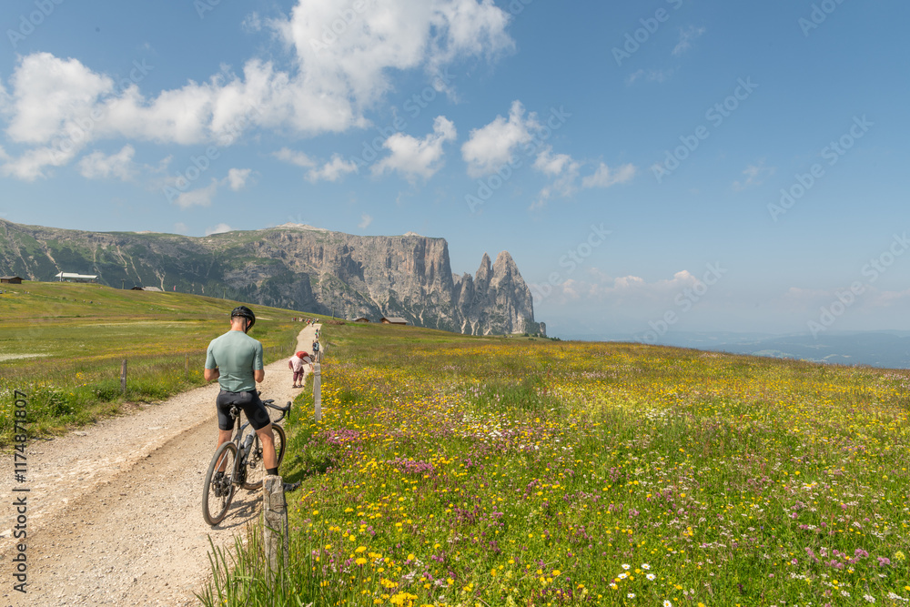 Obraz premium Backview of a mountain biker and some hikers on an easy hiking trail in the Italian Dolomites near Seiser alm ( Alpe di Siusi) in an alpine meadow with yellow wild flowers. Schlern massif in backgroun