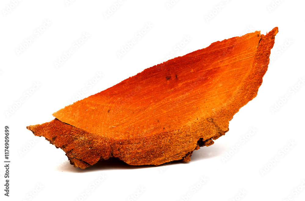Fototapeta premium Flora of Gran Canaria - Eucalyptus camaldulensis, introduced species, freshly cut trunks, orange wood 