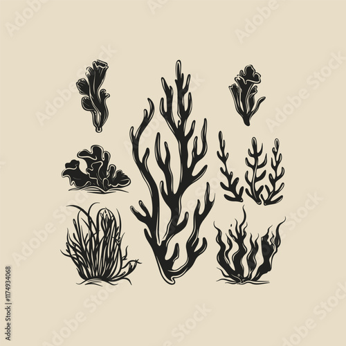 Set of coral engraving design vector template