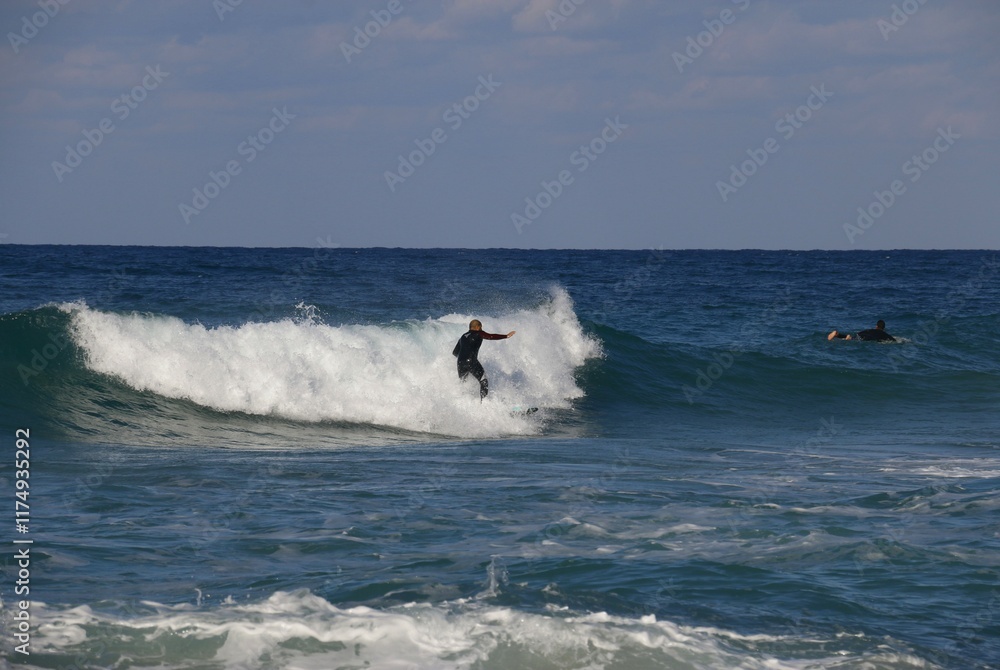 surfing the wave surfing the wave