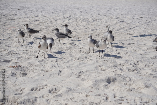 Photography The Landscapes, Ocean, Animals and Flowers