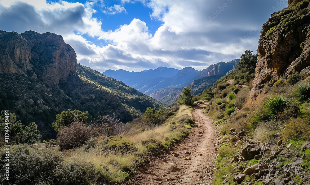 Naklejka premium Hiking trail landscape