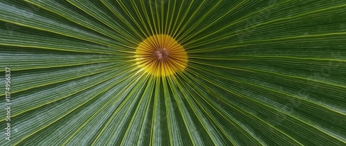 Palm frond with green pattern.