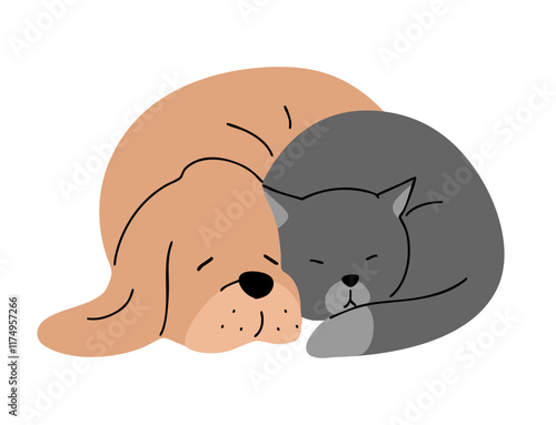 Cute dog and cat sleeping next to each other. Pet friendship. Animal character. Cartoon vector illustration isolated on white background