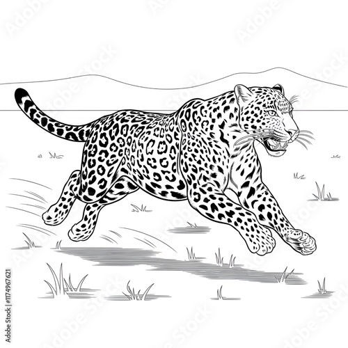 Running Tiger of a coloring page line art 