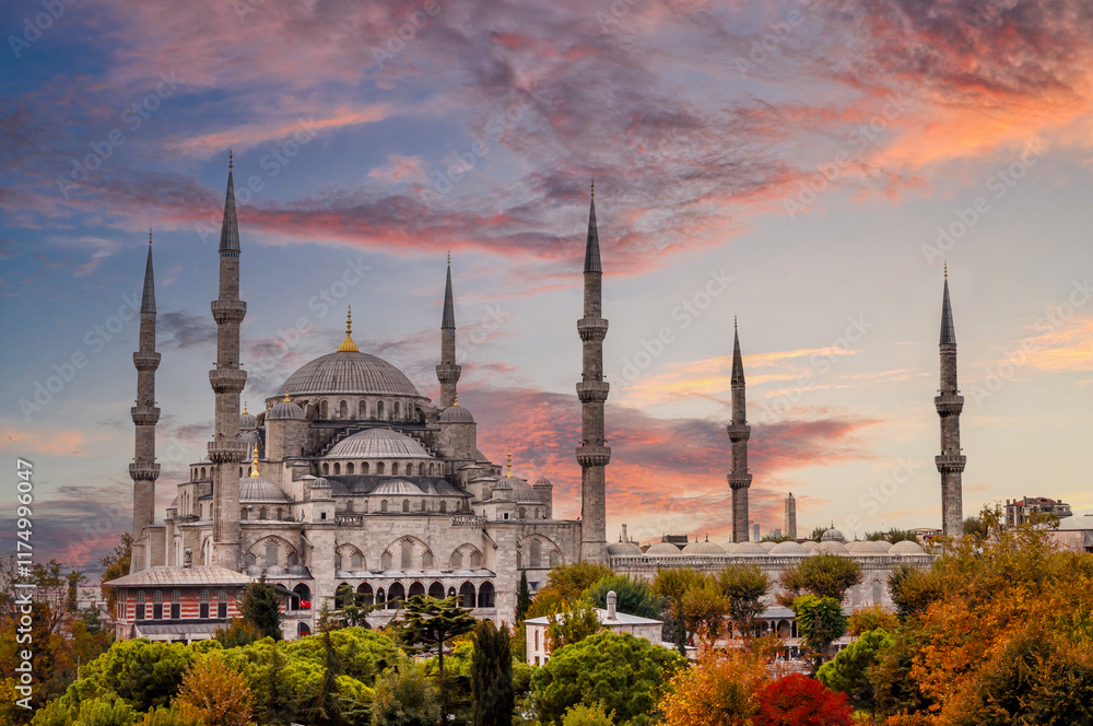 Obraz premium Blue Mosque ( sultanahmet camii ) in Istanbul of Turkey