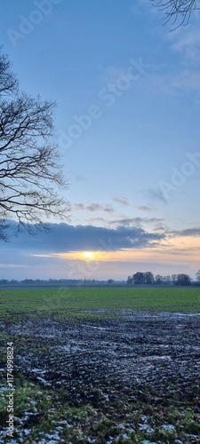 Wallpaper Mural Winterlandschaft mit Sonne Torontodigital.ca