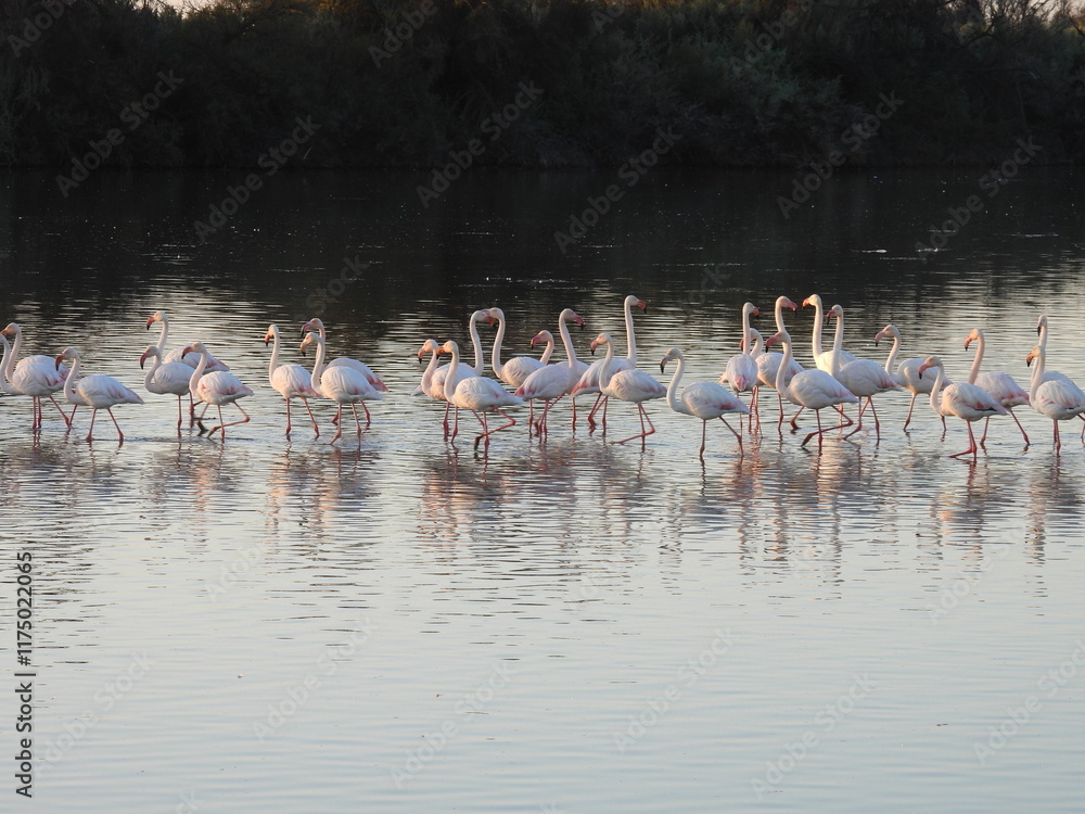 Obraz premium Game Reserves in SA