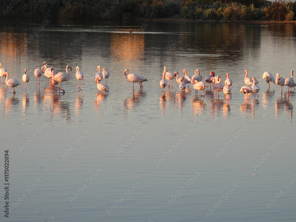 Obraz premium Game Reserves in SA