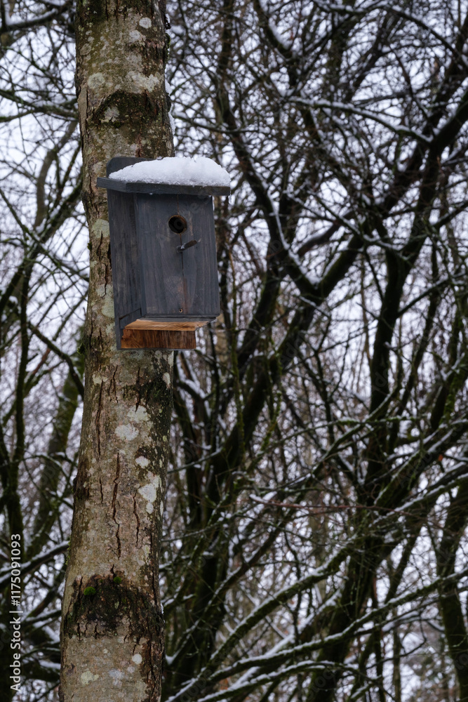 bird house on tree in winter bird house on tree in winter
