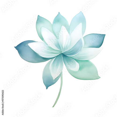 Minimalist Watercolor Lotus Flower Blossom on White Background