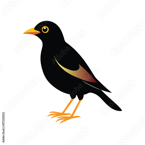 mynah with white background.eps