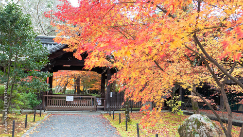 A traditional wooden gate at Shinnyodo Temple framed by vibrant red and orange maple leaves in autumn. A serene and colorful scene in Kyoto. Shinnyo-do Temple, Kyoto, Japan. photo