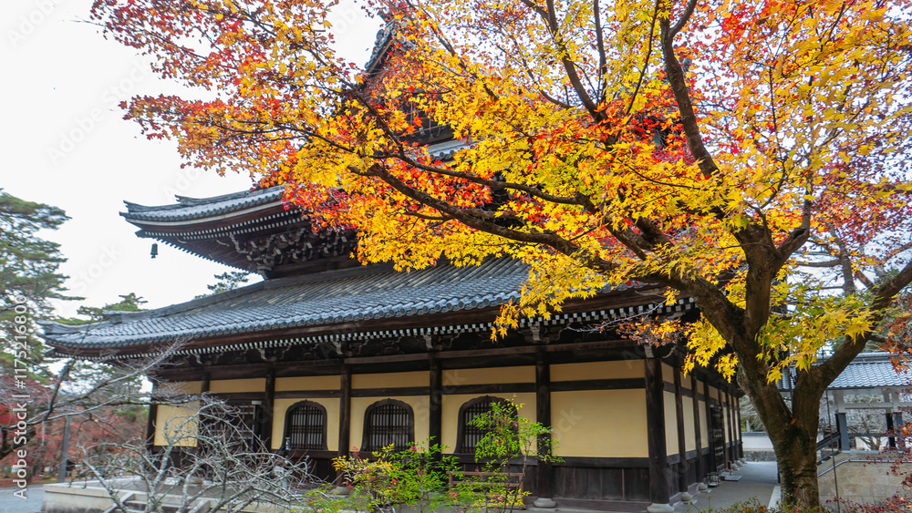 A traditional Japanese temple building at Nanzen-ji framed by vibrant autumn leaves. The building's dark roof contrasts with the colorful foliage. Nanzen-ji Temple, Kyoto, Japan. A traditional Japanese temple building at Nanzen-ji framed by vibrant autumn leaves. The building's dark roof contrasts with the colorful foliage. Nanzen-ji Temple, Kyoto, Japan.