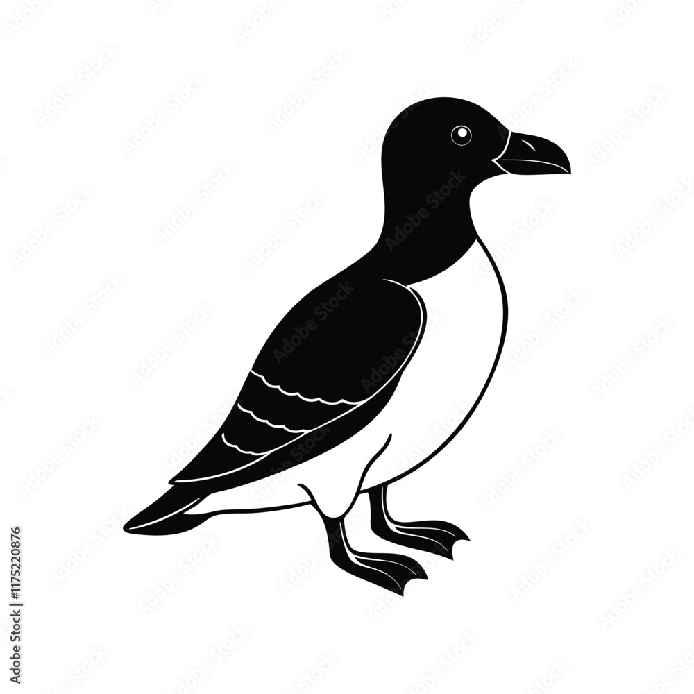 Fototapeta premium razorbill.eps