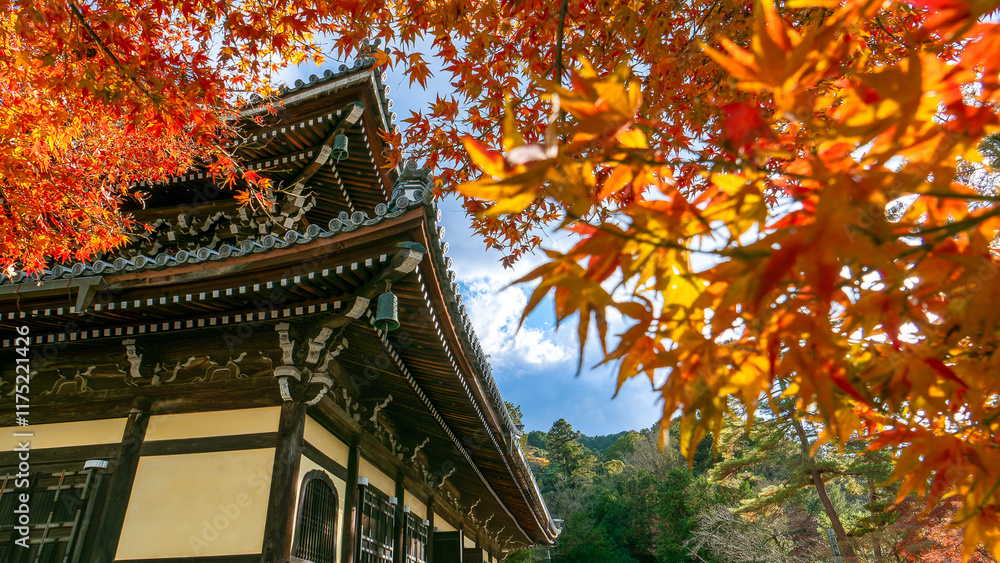 Vibrant red maple leaves create a stunning contrast against the dark, weathered wooden roof of Nanzen-ji Temple in Kyoto. This captivating image captures the essence of autumn in Japan. Vibrant red maple leaves create a stunning contrast against the dark, weathered wooden roof of Nanzen-ji Temple in Kyoto. This captivating image captures the essence of autumn in Japan.