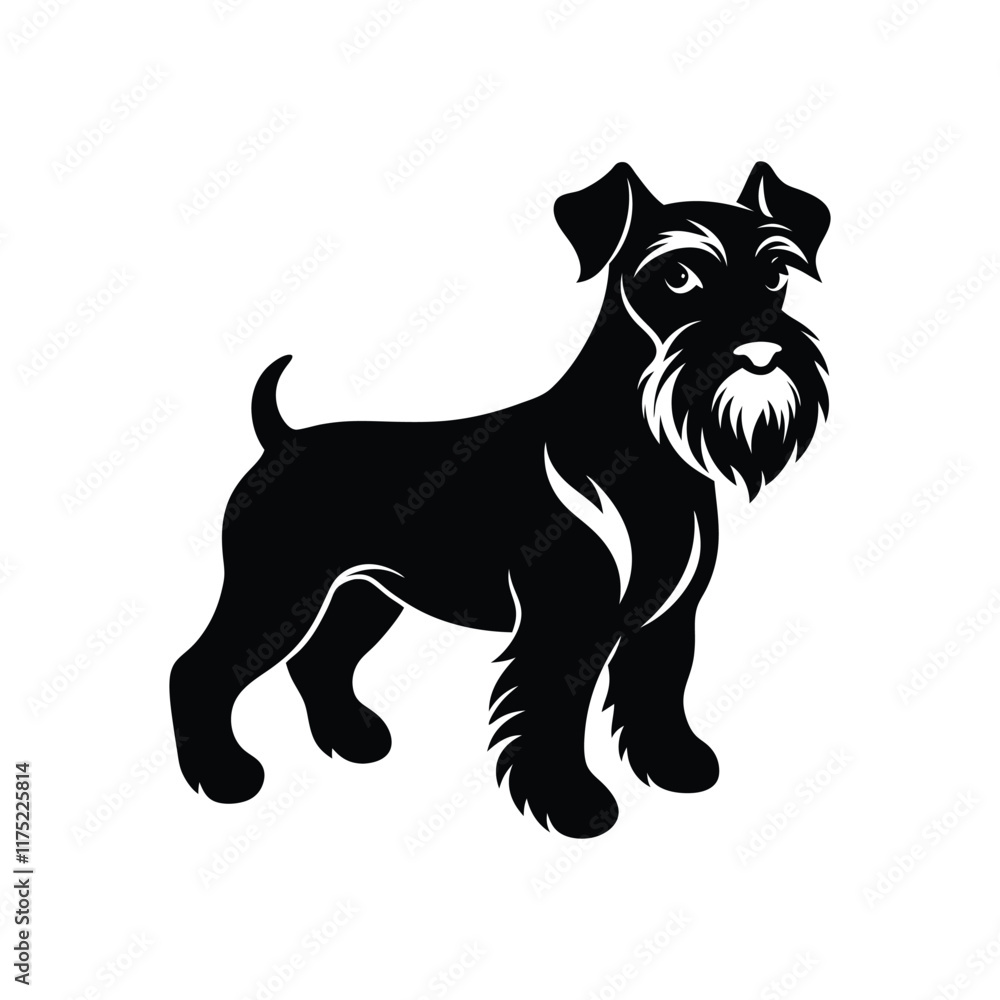 Obraz premium schnauzer dog.eps