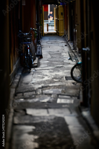 Wallpaper Mural 光と影が織りなす路地裏の物語
狭い路地に差し込む光と影のコントラストが、静寂と動きを感じさせる風景を描き出します。都市の中に潜む美しさを表現した一枚です。 Torontodigital.ca