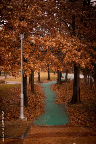 nature walk