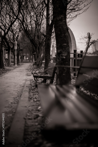nature walk