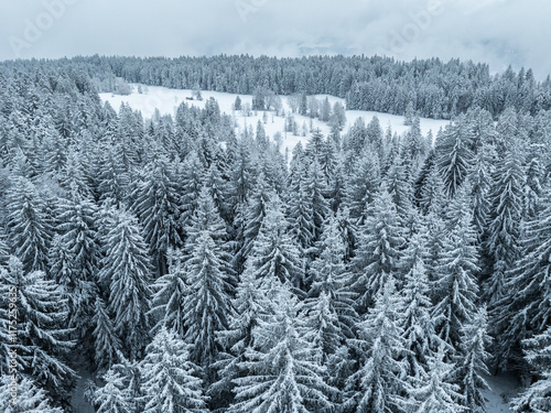 aerial photography of a sno...