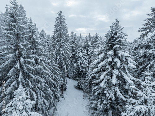 aerial photography of a sno...