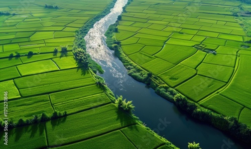 航拍绿色稻田梯田河流自然生态背景 photo