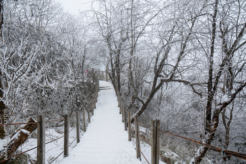 Obraz na płótnie The snowy boardwalk in the forest park during winter w salonie