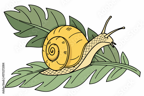 snail on a leaf