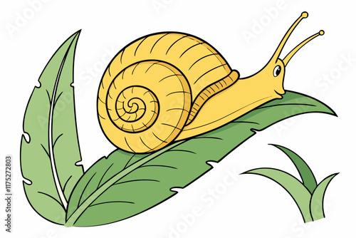snail on leaf
