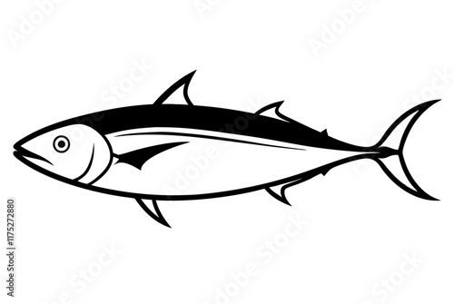 fish on a white background