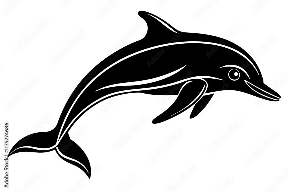 Obraz premium dolphin isolated on white