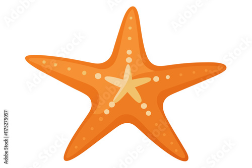 starfish isolated on white background