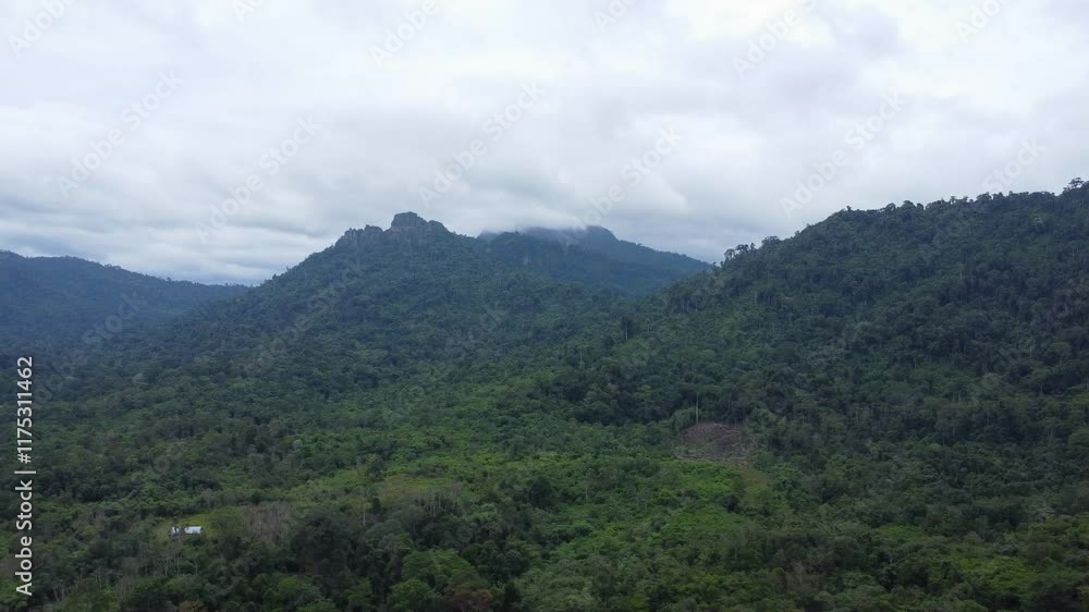 Aerial view of mountains in Kalimantan covered in clouds or fog Aerial view of mountains in Kalimantan covered in clouds or fog