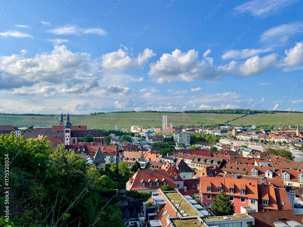 Obraz premium Würzburg Vineyard Landscape with Church Spires and Industrial Heritage