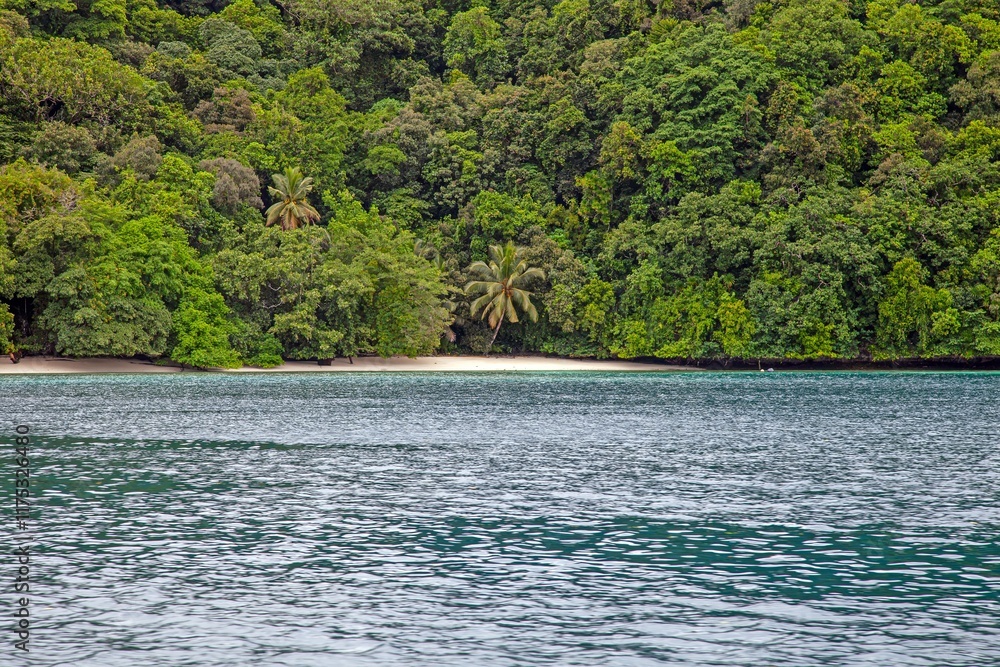 Tropical lagoon with turquoise water and lush rainforest in the background Tropical lagoon with turquoise water and lush rainforest in the background